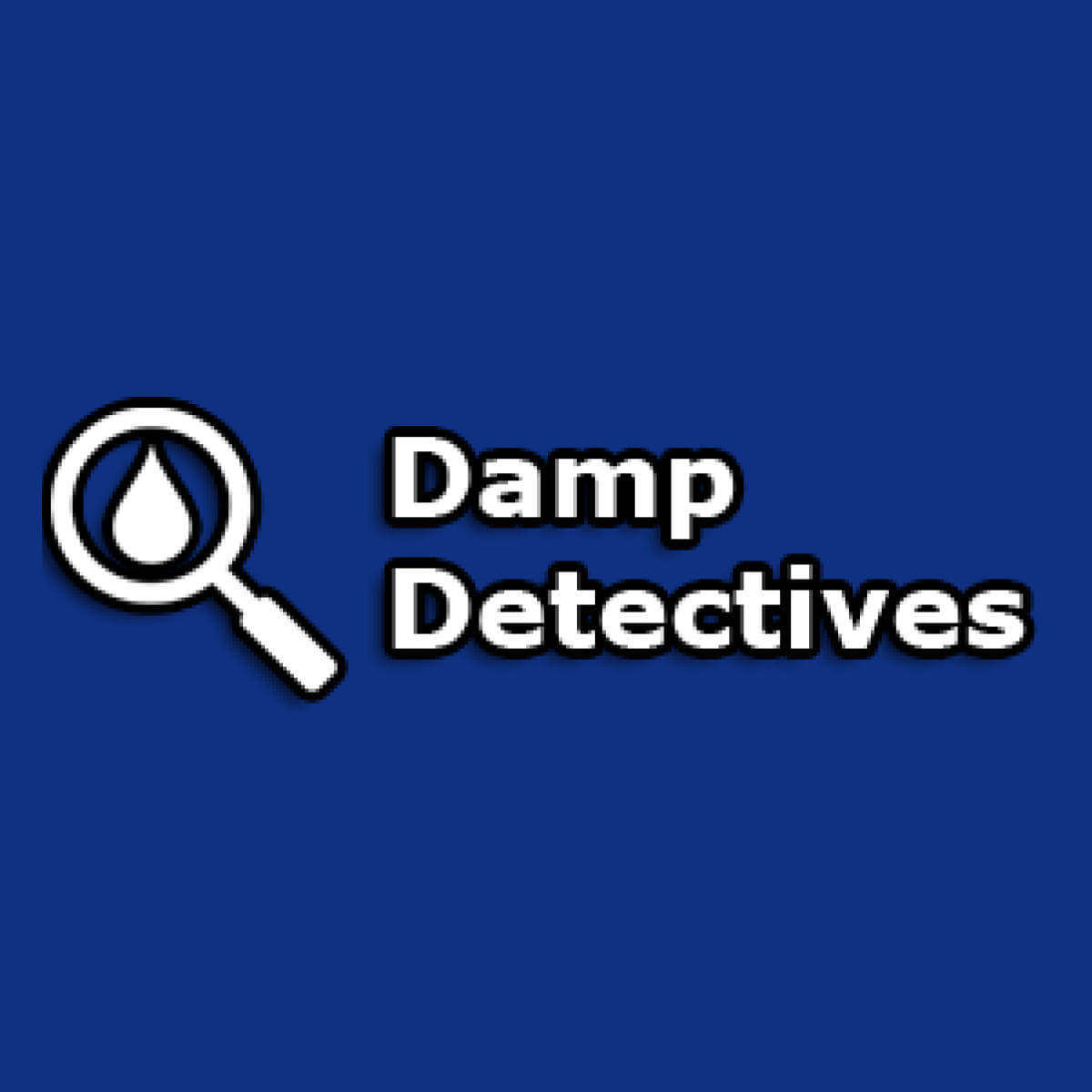 Liam Mynett, Damp Detectives logo